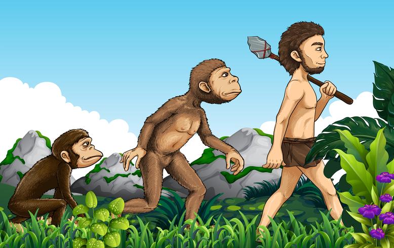 Human evolution in nature background vector