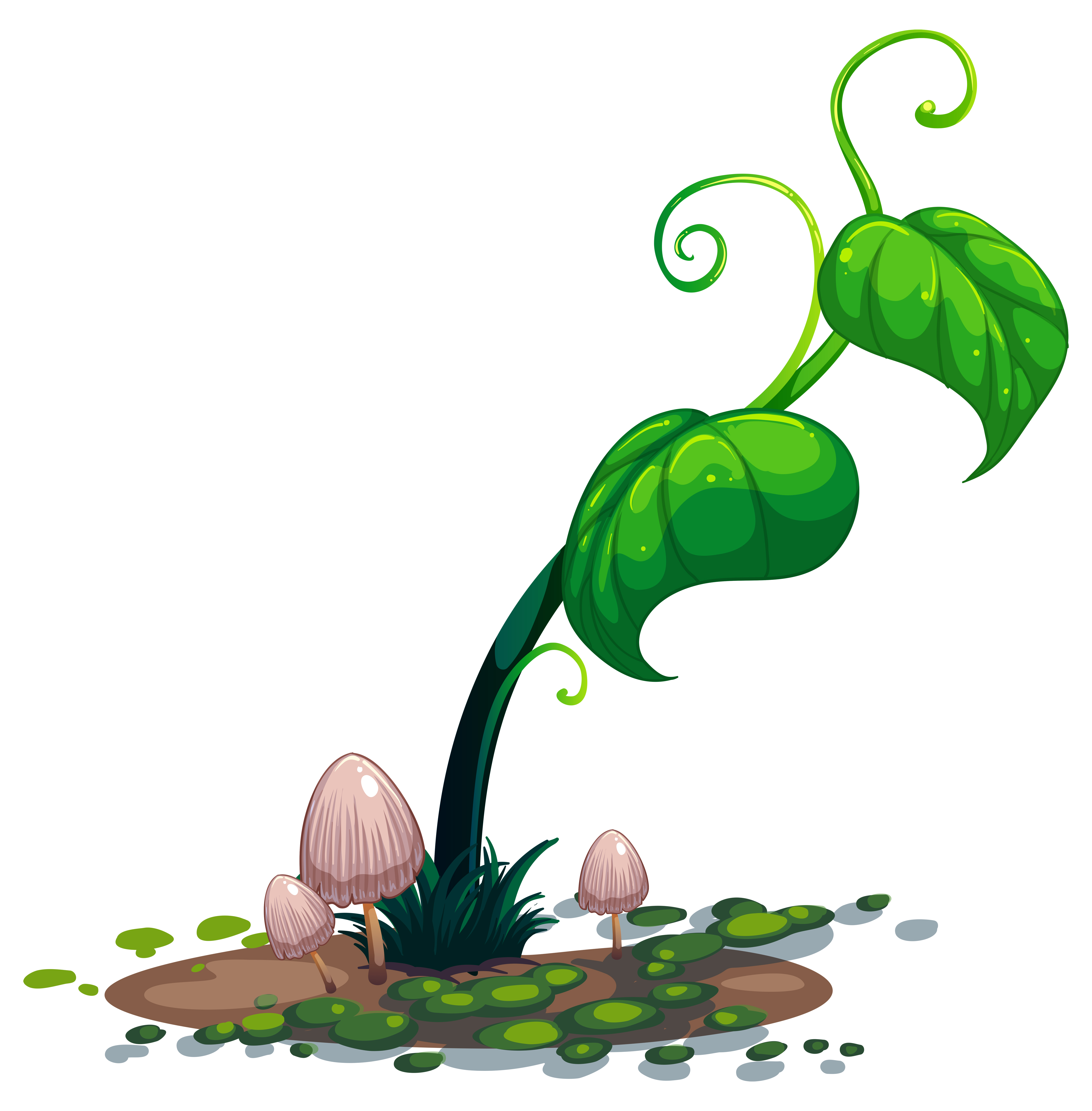 A growing green plant 419388 Vector Art at Vecteezy