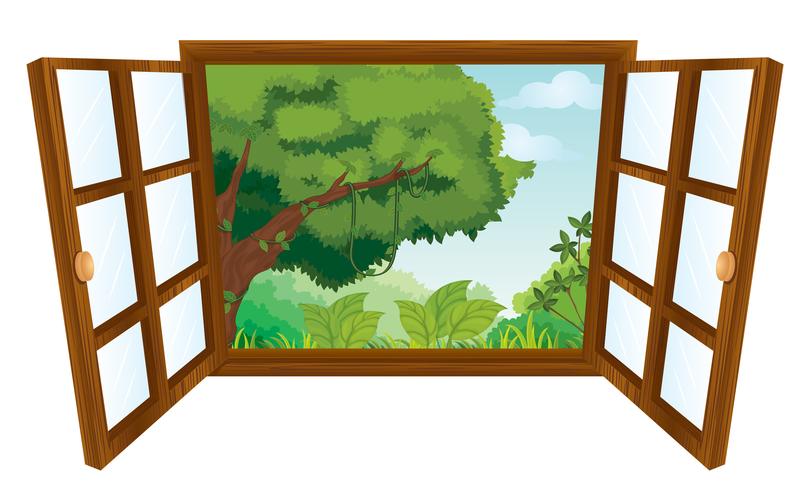 window vector