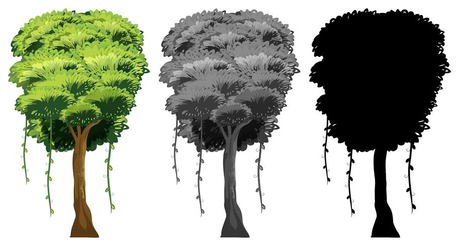 Set of tree design vector