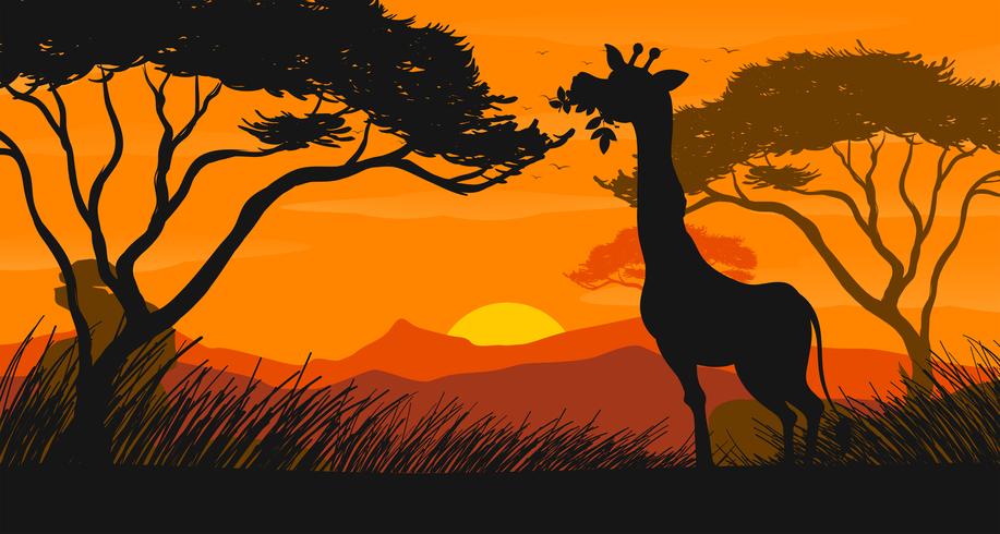 Silhouette scene with giraffe eating leaves vector