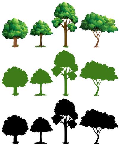 Set of tree design  vector