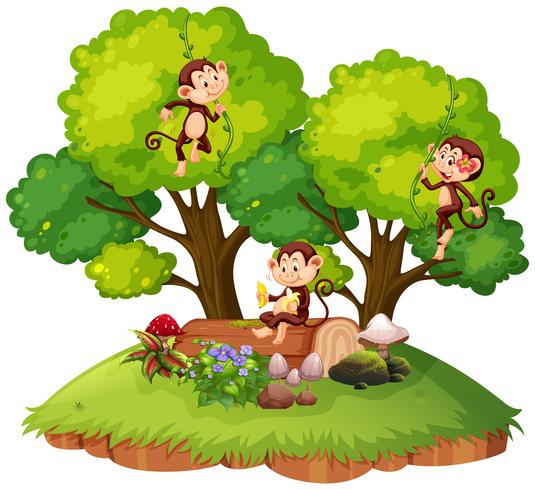 Monkey on isolated nature vector