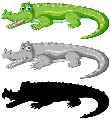 Set of crocodile character vector