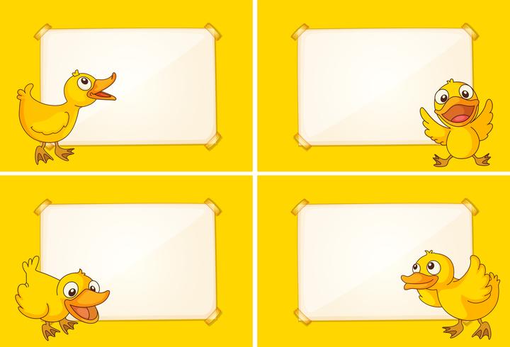 Four border templates with yellow ducklings vector