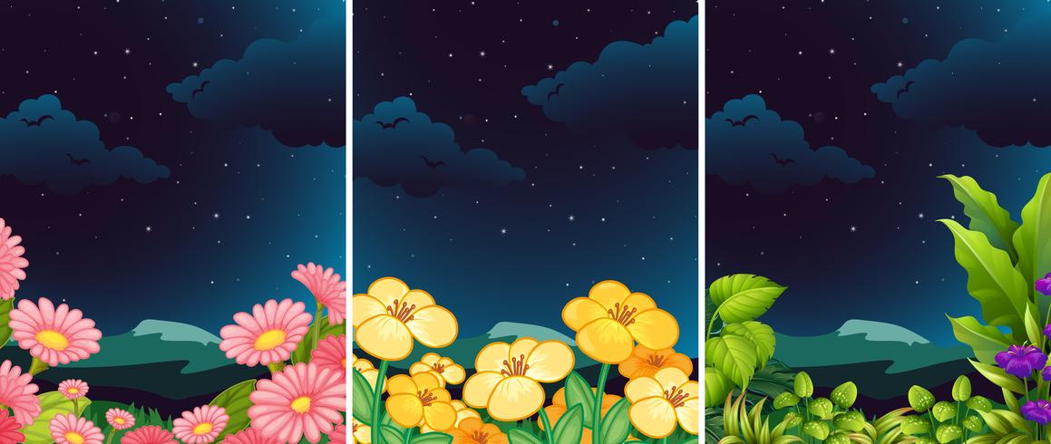 Un conjunto de flores en la naturaleza por la noche. vector