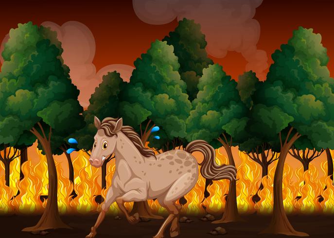 A horse run away from wildfire vector