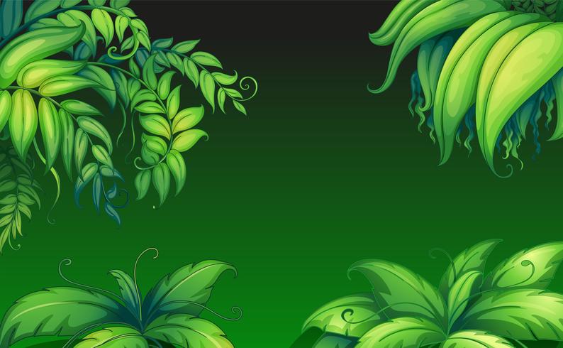 Green leafy plants vector