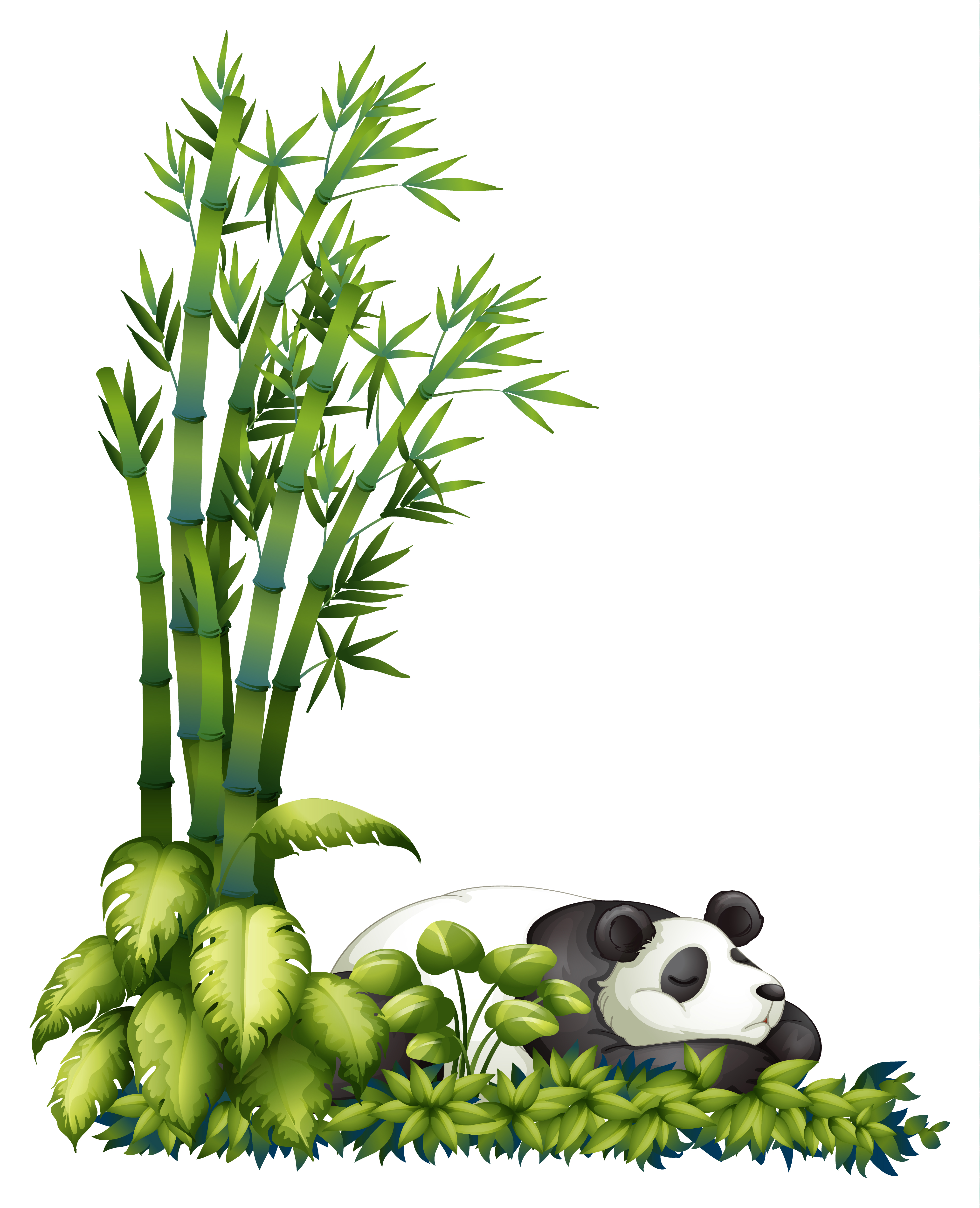 Sleeping Panda with Bamboo vector