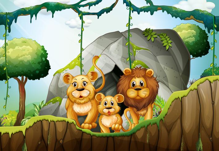 Lion family living in the jungle vector
