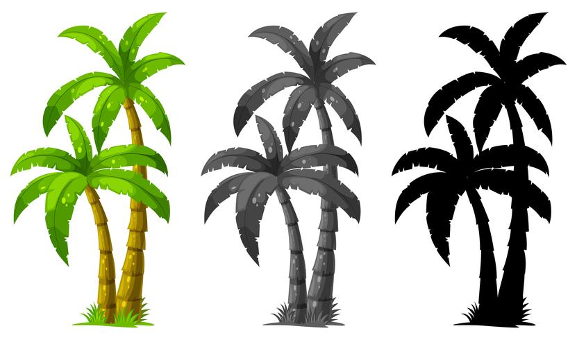 Conjunto de palmera vector