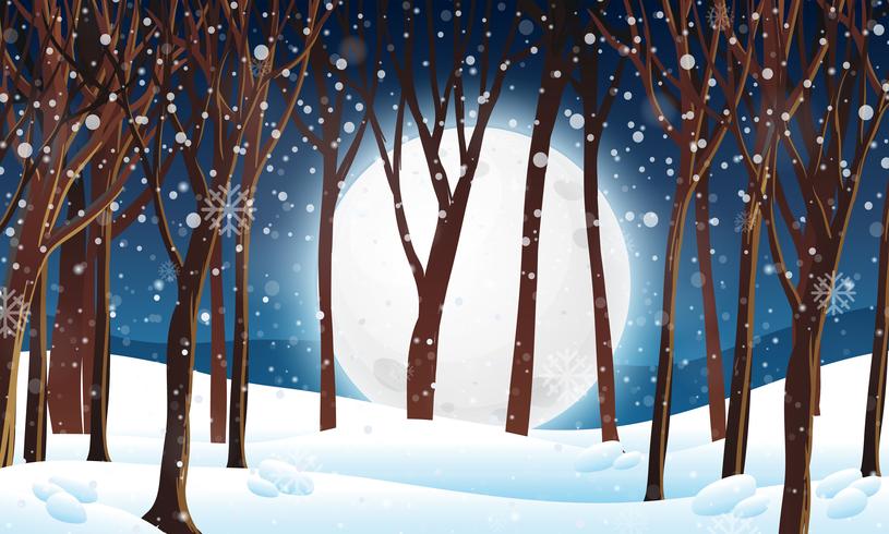 Bosque de invierno en escena nocturna vector