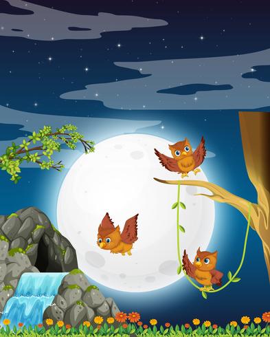 An owl in nature at night vector