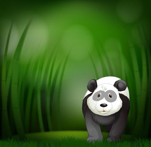 Un panda en el fondo de bambú verde vector