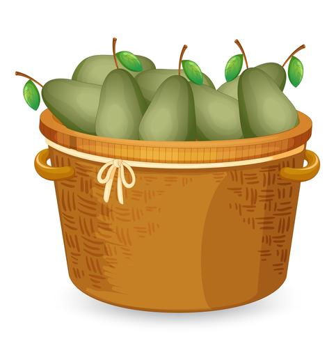 A basket of avocado vector