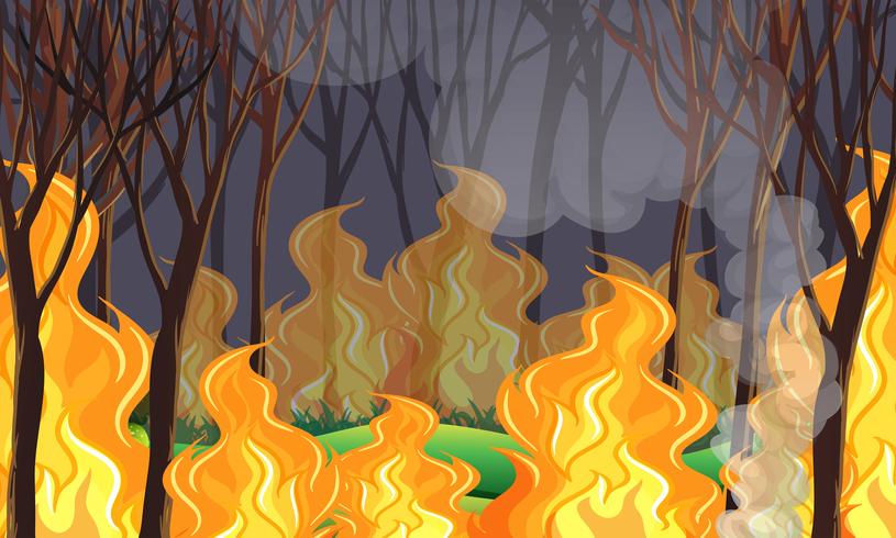 Un desastre de incendios forestales vector