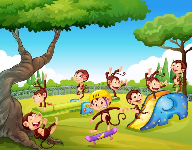 Monkey playing at playground vector