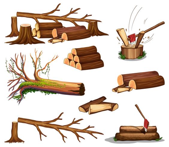 A set of wood cut vector