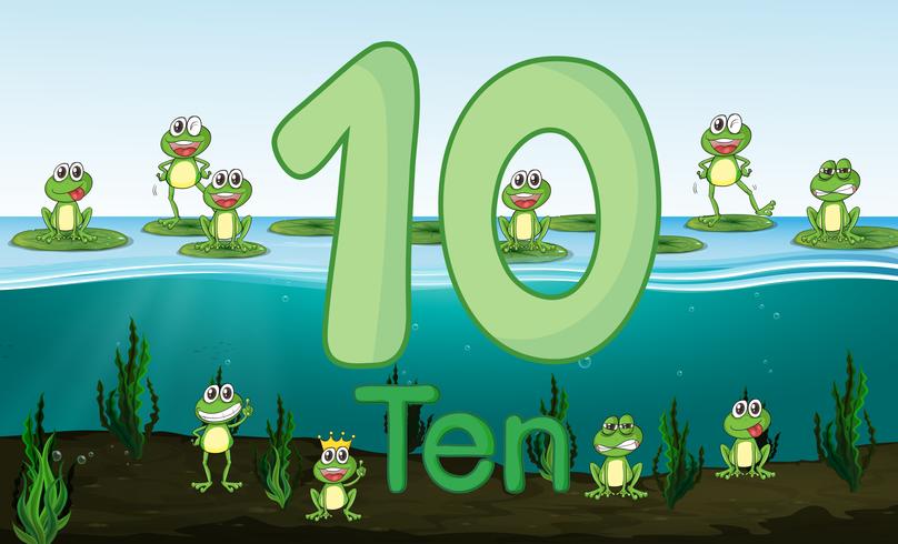 Ten frog at the pond vector