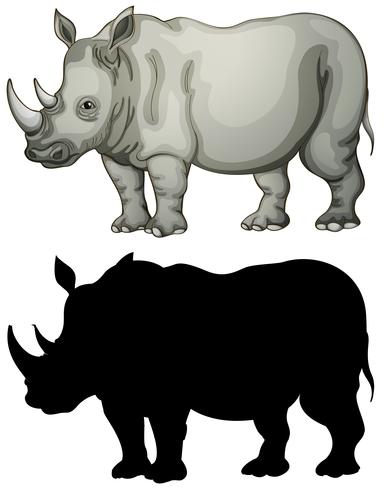 Set of rhinoceros character vector