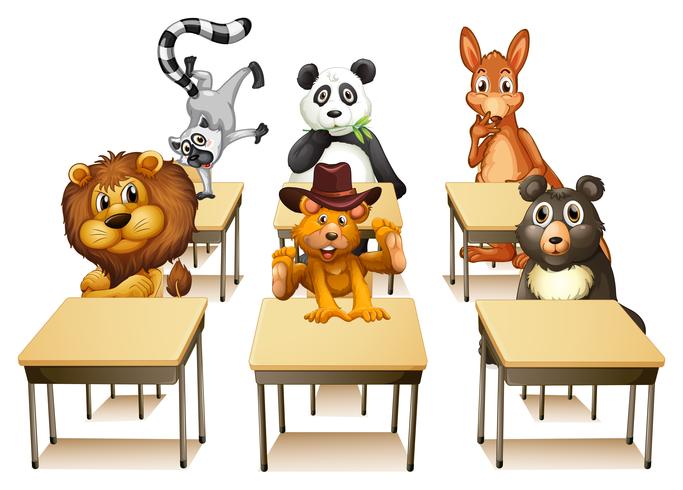 Animals in classroom vector