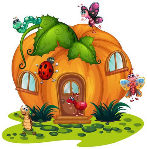 Pumpkin house with many bugs vector