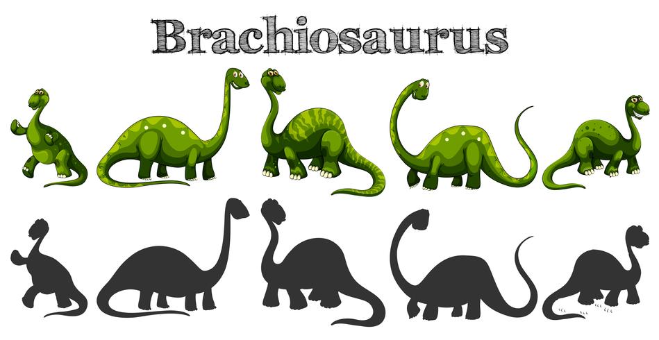 Brachiosaurus en cinco acciones diferentes. vector