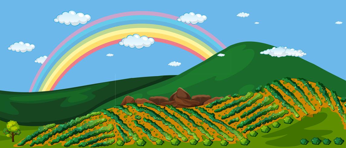 Hermosa granja de montaña y arco iris vector