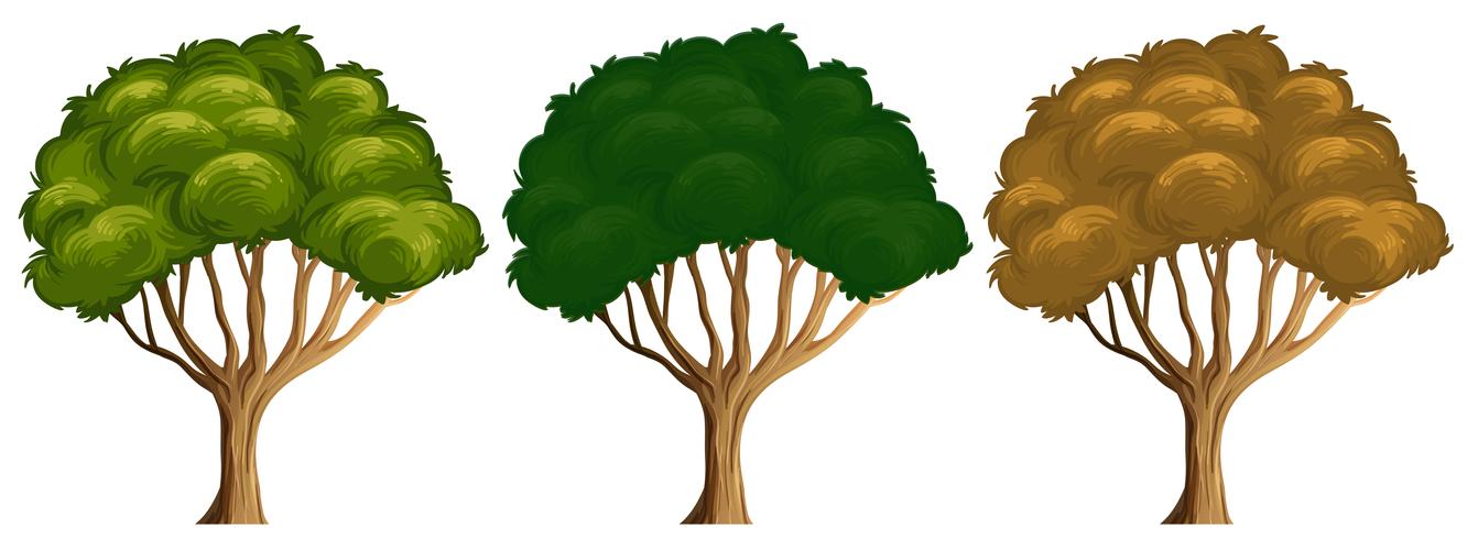 Conjunto de diferentes colores de arbol. vector