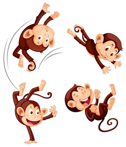 A set of monkey on white background vector