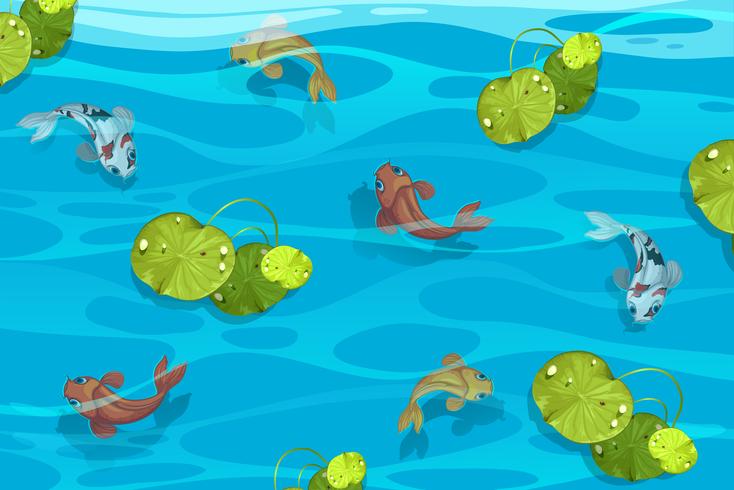 Many koi fish in the pool vector
