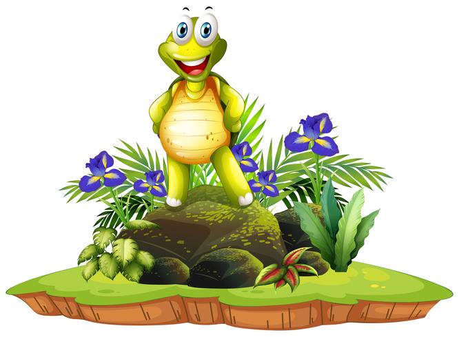 Isolated happy turtle in nature vector