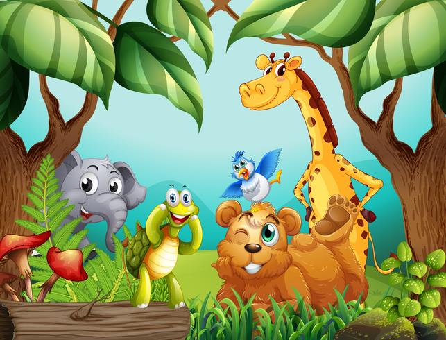 Wild animals in nature vector