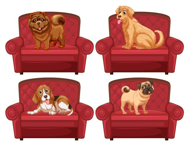 Perros en el sofa vector