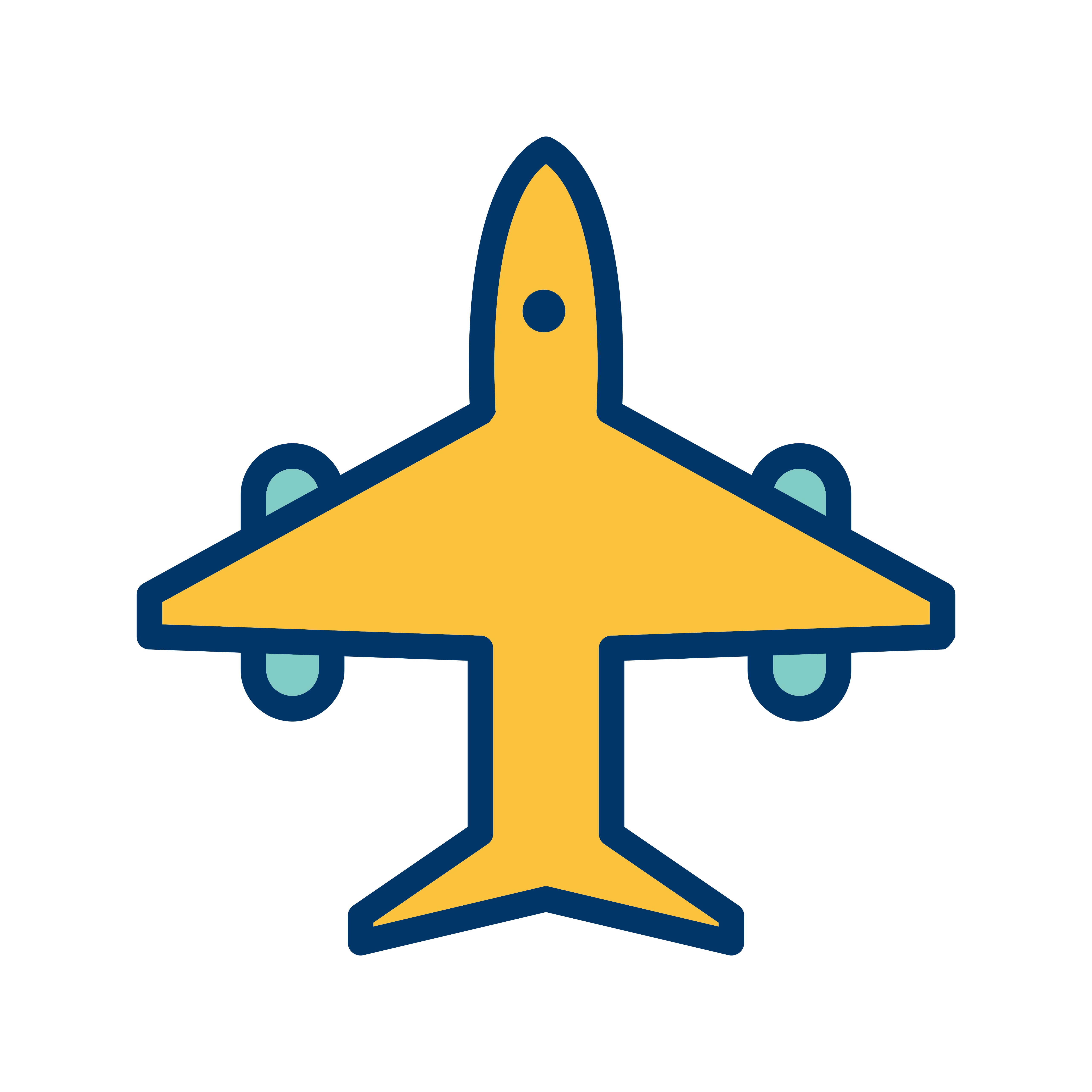 Vector Airplane Icon 420693 Vector Art at Vecteezy