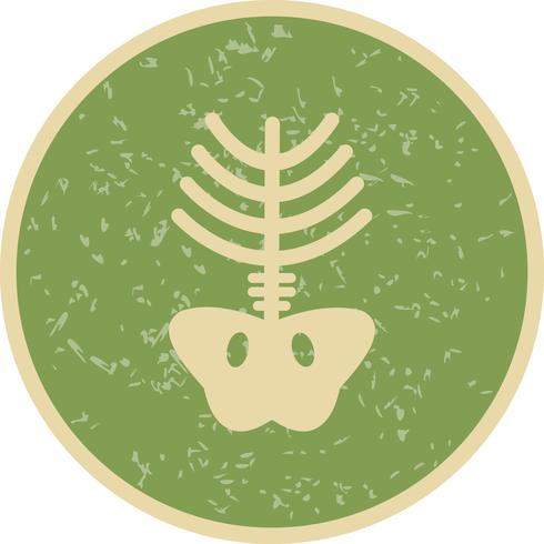 Vector Xray Icon