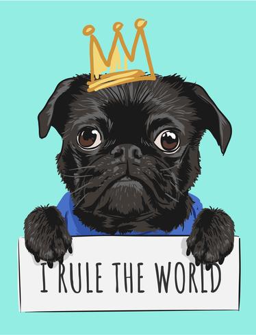 black pug dog holding sign and crown vector