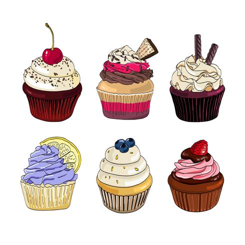 Set of cupcakes on a white background. vector