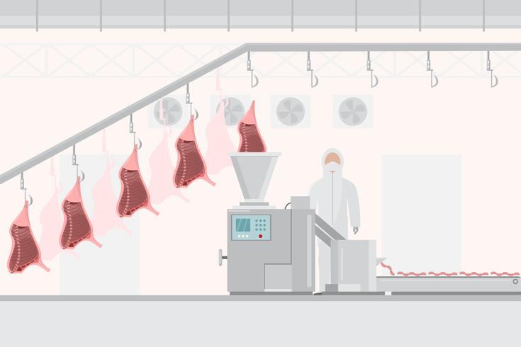 Fábrica de carne de cerdo y carne con máquinas automáticas. vector