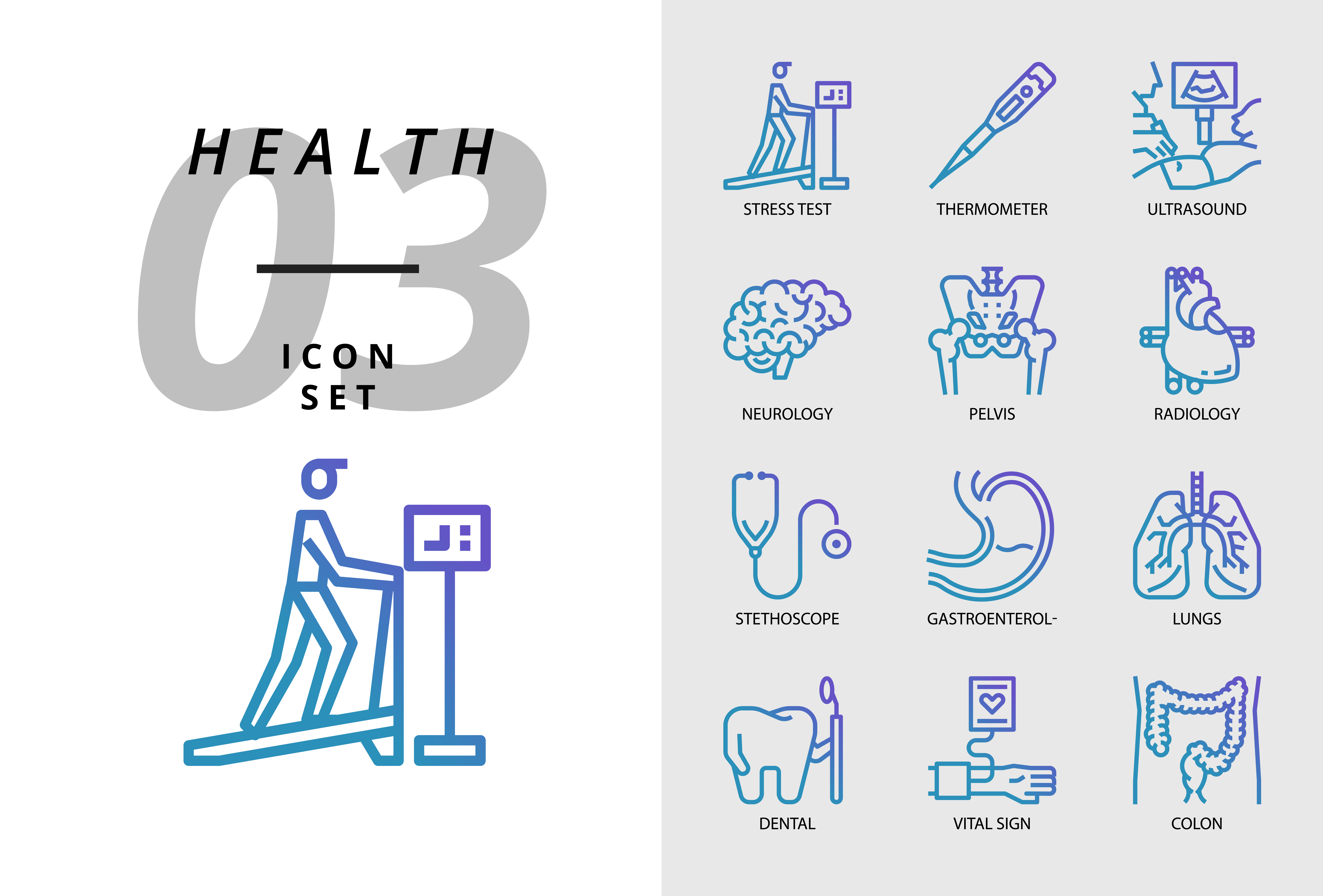 Vital Signs Free Vector Art - (43800 Free Downloads) dental diagram label 