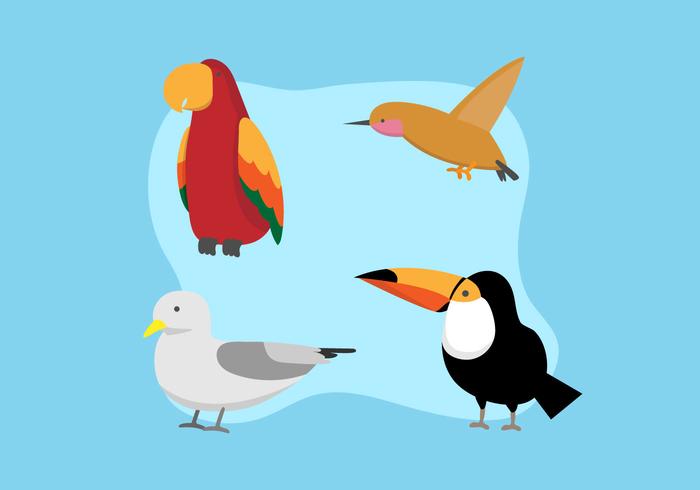 Grupo de aves vector