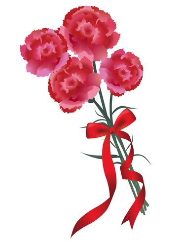 Ramo de clavel con una cinta roja para el Día de la Madre, cumpleaños, bodas, etc. vector