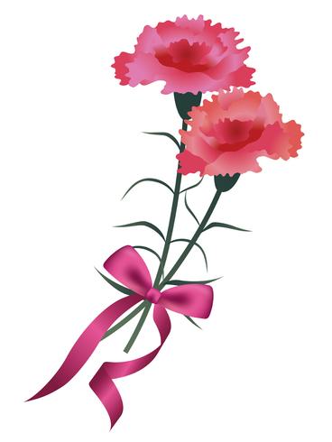 Ramo de clavel con una cinta rosa para el Día de la Madre, cumpleaños, bodas, etc. vector