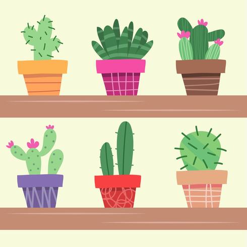 Cactus plant in flower pot. Decoration home plant. Vector illustration in flat style