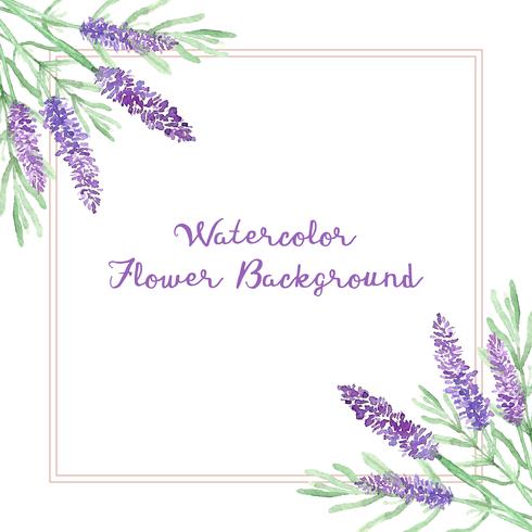 watercolor lavender flowers background vector