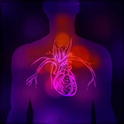 Human Heart X-ray vector