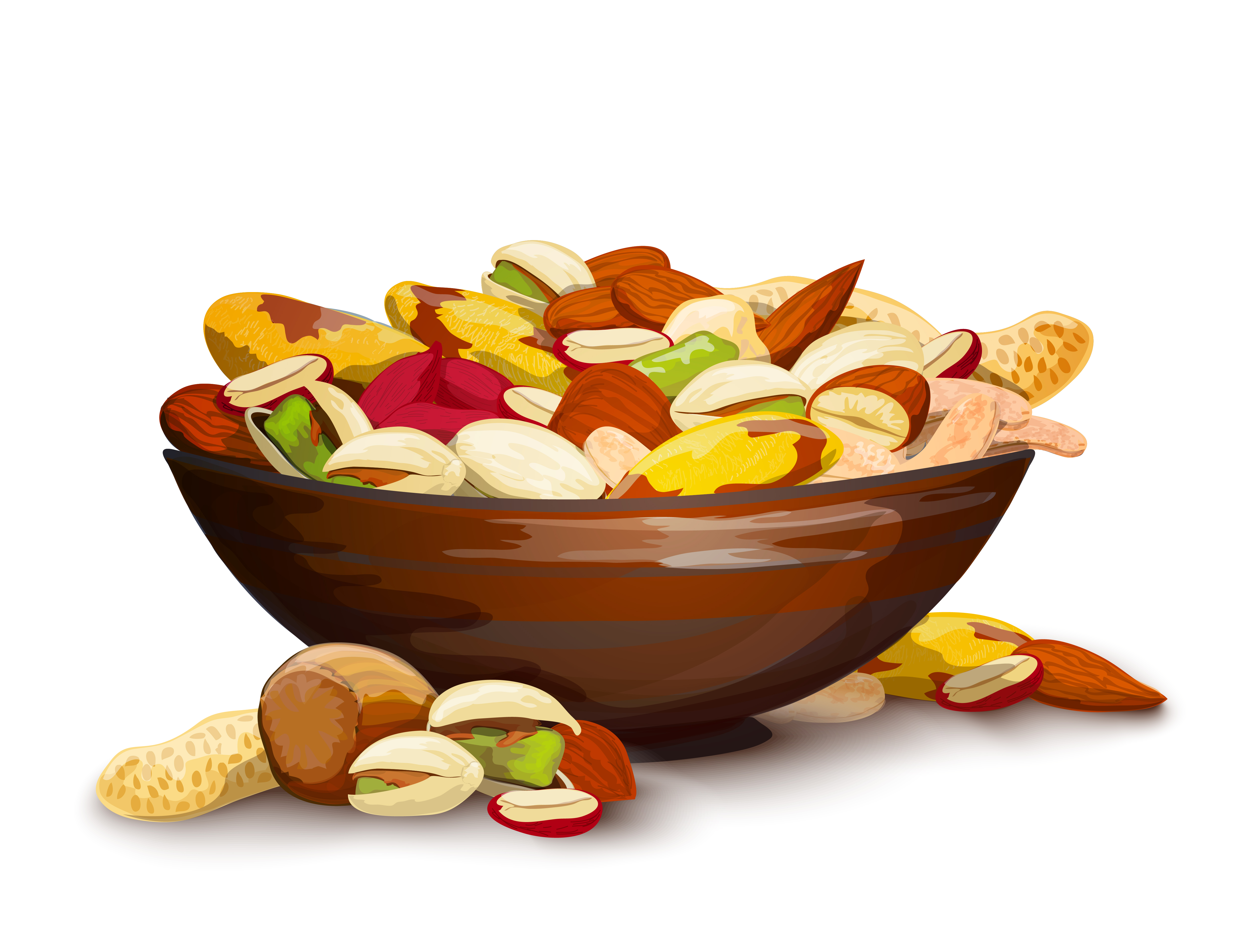 Cup With Nuts 427685 Vector Art at Vecteezy