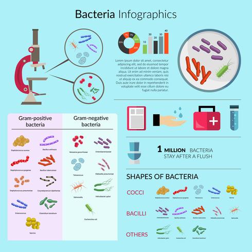Conjunto Infografía Bacterias vector