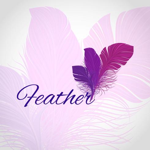 Feather Abstract Background vector