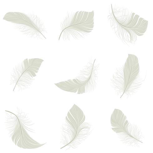 Feather Icons Set vector